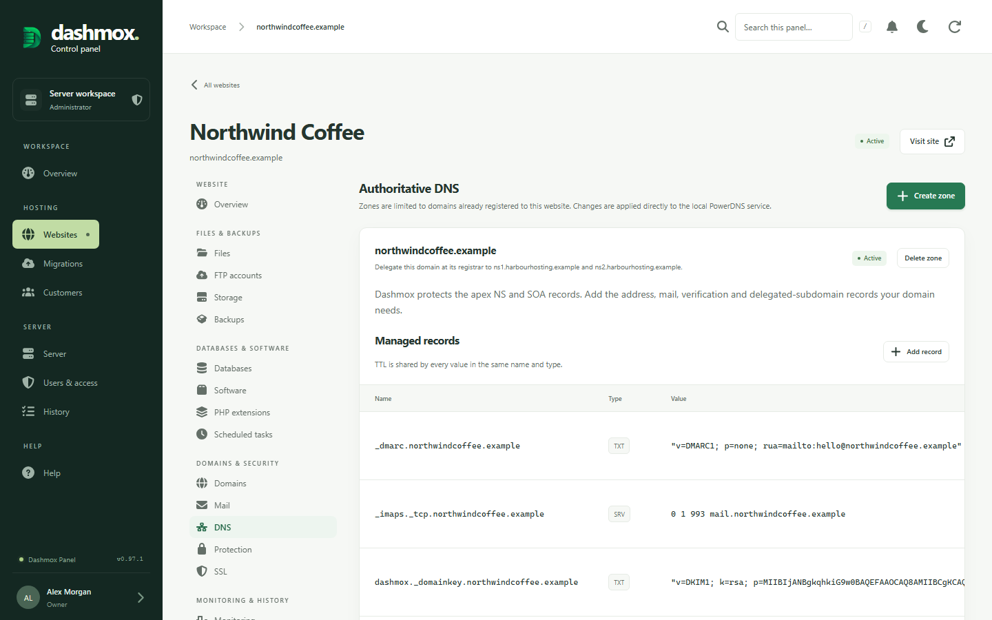 DNS records for a domain in Dashmox's authoritative DNS